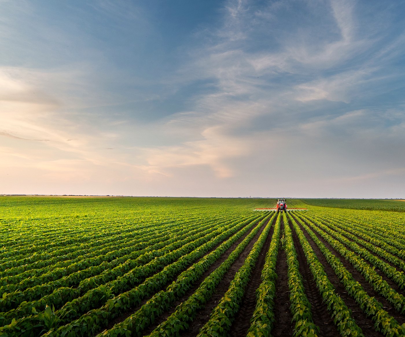Tractor applying inputs across soybean rows